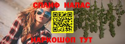 индика Тверь