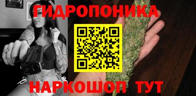 индика Тверь