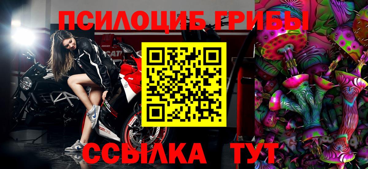 Галлюциногенные грибы GOLDEN TEACHER Псков