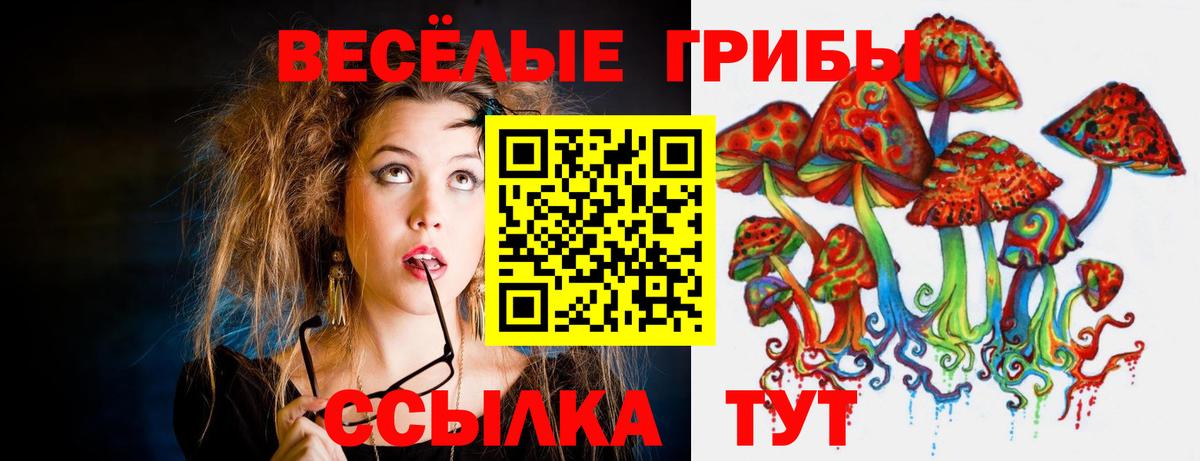 Галлюциногенные грибы Psilocybine cubensis  Галлюциногенные грибы прущие грибы  Вход с VPN  Псков 